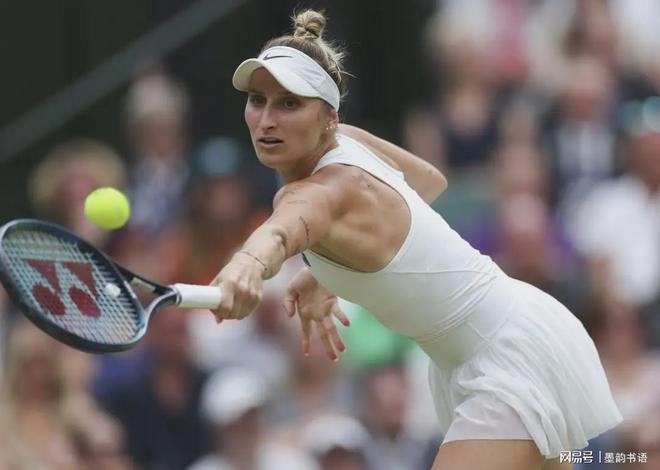 圈丰富的经 圈丰富的经